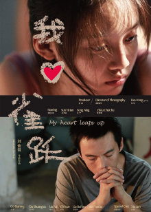 不可思议猫森林